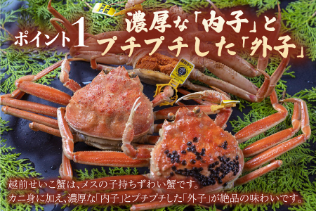 海鮮丼の具　越前せいこ蟹（タレ付き）　5人前　