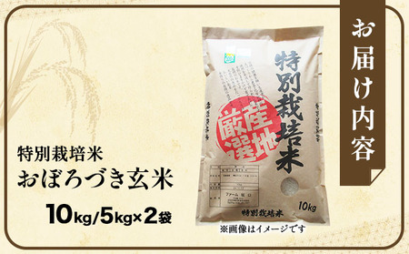令和7年産!ファーム坂口の特別栽培米 おぼろづき玄米10kg(5kg×2袋)