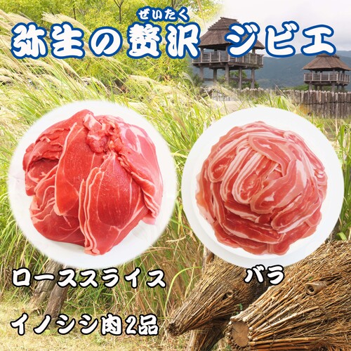 【定期便6回】脊振ジビエ イノシシ肉(ロース バラ)2品詰合せ800g 【佐賀 佐賀県産 猪 ロース バラ スライス 焼肉 しゃぶしゃぶ 鍋物】(H072126)