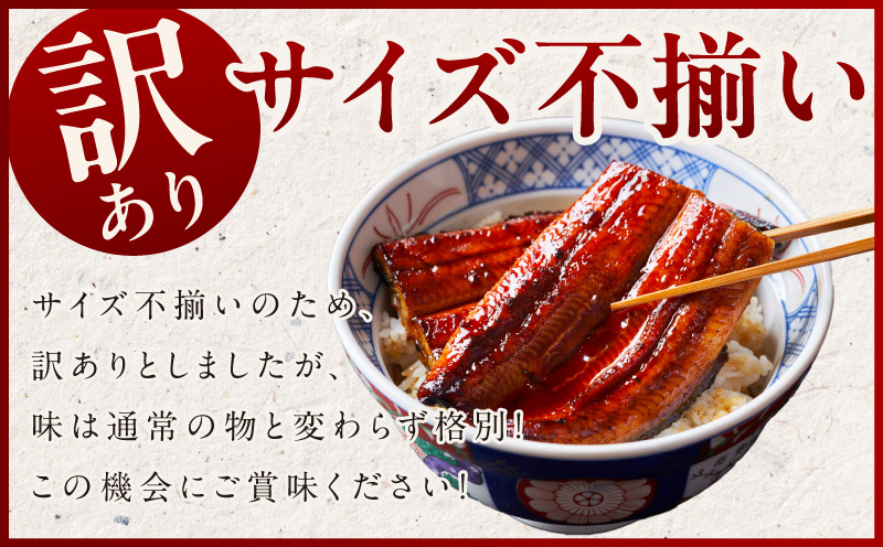 国産うなぎ 合計230g【鰻1尾 130g+ハーフカット 100g 訳あり 規格外 ウナギ 無頭 炭火焼き 備長炭 手焼き レンジ 温めるだけ 簡単調理】 kgp0040-1