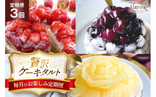 ケーキ タルト 食べ比べ 1ホール 3回 定期便 総計3ホール [心優-Cotoyu Sweets- 長崎県 平戸市 hr42bgy420214] 果物 フルーツ いちご モンブラン  ティラミス チョコ ホールケーキ 誕生日