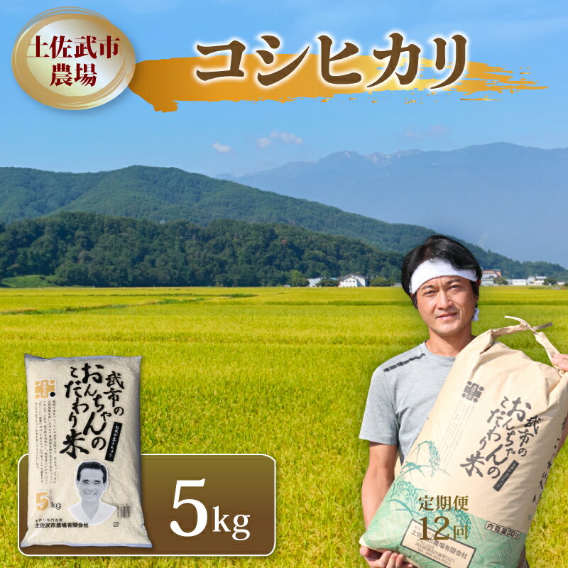 【ふるさと納税】 コシヒカリ 5キロ 令和7年度 数量限定 米 コメ お米 精米 ご飯 おにぎり こめ 白米 高知県 南国市