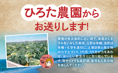 ブロッコリー 5本 ×5回お届け 豊橋 国産 ミネラルたっぷり 海風そだち 潮風 家族で 大容量 豊橋 ともちゃんのやさい 直売所で大人気！ 愛知県 豊橋市 安心野菜