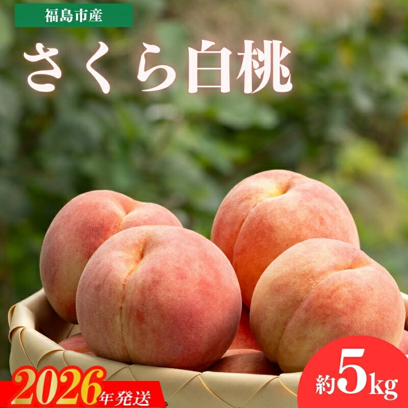 【ふるさと納税】No.2321もも　「さくら白桃」約5kg【2026年発送 先行予約】