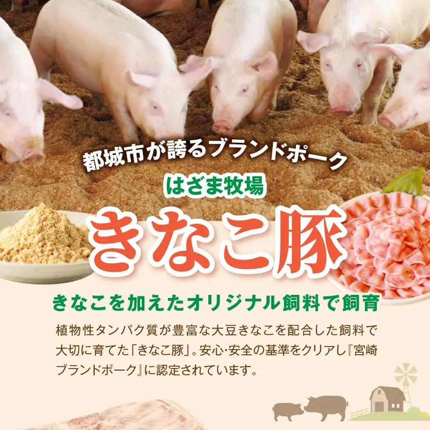「きなこ豚」加工品Bセット〔MJ-1209〕_(都城市) きなこ豚 ブランドポーク プレスハム ソーセージ 生ウインナー 味噌漬け ベーコン 生ハム 加工品 おかず 冷凍
