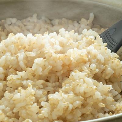 ふるさと納税 伊那市 【★☆とれたて新米　受付再開☆★】自然栽培　カミアカリ　玄米　5kg |  | 02