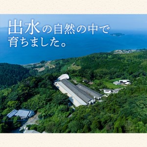 i326 《業務用・訳あり》Newポークウインナー(1kg×3P・計3kg) ウインナー 豚肉 国産 肉加工品 訳アリ簡易包装 業務用 おかず お弁当 晩御飯【ナンチク】