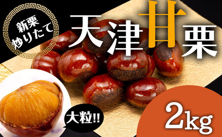無添加 大粒天津甘栗 2kg 甘栗