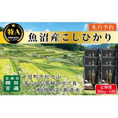 ふるさと納税 十日町市 【発送月固定定期便】【食味鑑定士厳選】日本棚田百選のお米 天空の里・魚沼産こしひかり 30kg全6回