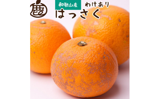 【 家庭用 】  はっさく約10kg+300g（傷み補償分）【八朔みかん・ハッサク】【わけあり・訳あり】【2025年1月上旬～2025年3月末日頃 順次発送予定】 【IKE30】