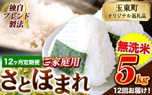 【12ヶ月定期便】熊本県産 さとほまれ 無洗米 ご家庭用 定期便 5kg 《お申込み翌月から出荷》熊本県 玉名郡 玉東町 米 こめ コメ ブレンド米 送料無料