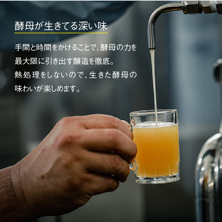 【定期便】あわぢびーる毎月６本セット《淡路島のクラフトビール》　　[クラフトビール 飲み比べ ビール クラフトビール クラフトビール]_イメージ2