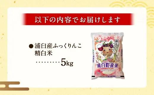 〈 令和8年産 〉浦臼産 ふっくりんこ 精白米 5kg お米 米 こめ コメ 白米 白飯 飯 ご飯 おにぎり ブランド米 ブランド 国産 北海道産 和食 魚料理 【 2026年11月上旬より順次発送 