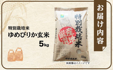 令和7年産！ファーム坂口の特別栽培米 ゆめぴりか玄米 5kg