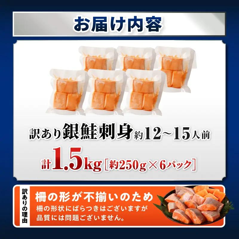 サーモン 訳あり 銀鮭 サーモン [刺身 1.5kg]