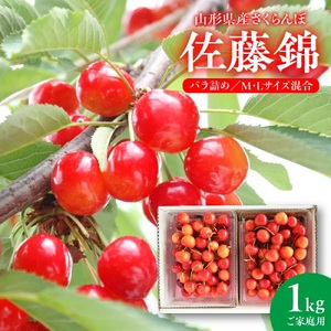 さくらんぼ（佐藤錦）１ｋｇ　ご家庭用　0020-2606