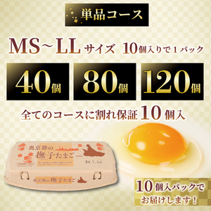 【卵 定期便6か月】奥京都の撫子たまご 卵40個