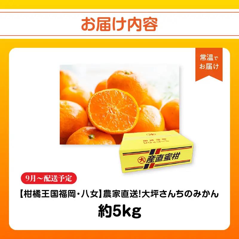 【9月下旬～2月下旬配送予定】【柑橘王国福岡・八女】農家直送！大坪さんちのみかん みかん 立花町 大坪農園 農産直売所 安心安全 肥料配合 福岡県 八女 171-001