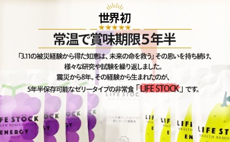 非常食 保存食 LIFE STOCK備蓄ゼリー　エナジータイプ2フレーバーセット 【04209-0079】 コンパクト 防災食 非常食 保存食 避難食 高カロリー アレルギー対応 水分補給