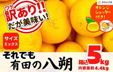 八朔 訳あり それでも 有田の八朔  (はっさく) 箱込 5kg (内容量約 4.4kg) サイズミックス B品 和歌山県産  産地直送［おまけ付き］［みかんの会］