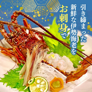 【訳あり】 職人吉岡 の 冷凍 伊勢海老 約 700g 以上 ( サイズ混合 えび エビ いせえび 高級 鮮魚 イセエビ 海鮮 魚介 刺身 焼き物 汁物 ギフト 贈答 贈り物 祝い 歳暮 中元 高知 