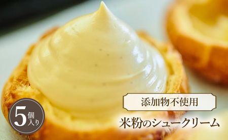 【保存料・酸化防止剤　無添加】米粉のシュークリーム 5個入 冷凍 米粉