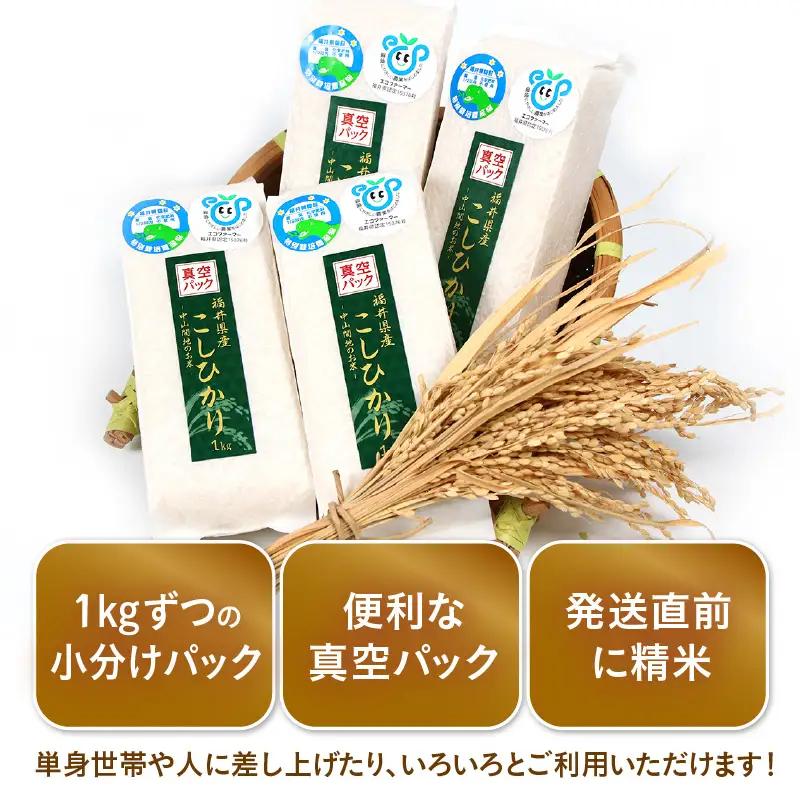 【先行予約】【令和8年産】【定期便6回】≪6ヶ月連続お届け≫  化学肥料不使用  コシヒカリ 精米 4kg (真空パック1kg×4袋) × 6回（合計24kg）※2026年10月上旬より順次発送予定 