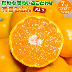 【2026年先行予約】（訳あり 家庭用）濃厚な味わいのこだわり 有田みかん 7kg (早生みかん・大小混合)_EA6035n