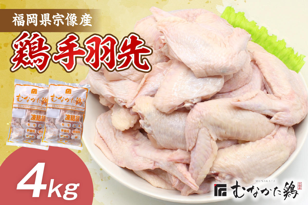 宗像産ブランド鶏【むなかた鶏】手羽先4kg（平飼い）【JAほたるの里】_HA1422