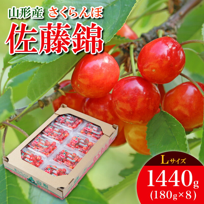 【ふるさと納税】さくらんぼ 佐藤錦 L 1440g(180g×8) 【令和8年産先行予約】FS25-533 くだもの 果物 フルーツ 山形 山形県 山形市 お取り寄せ 2026年産
