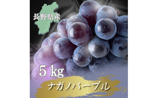 ＜2026年先行予約開始!＞長野県中野市産ナガノパープル  5kg(8～12房)【1682460】