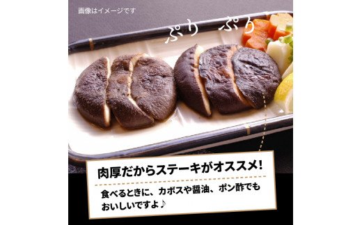 国東しいたけ「香ちゃん（極上品300g）」※桐箱入り・通