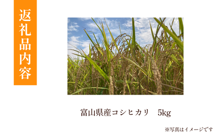 【先行予約】令和6年産 富山県産 コシヒカリ 5kg 吉笑米 10月中旬以降順次発送  |  富山県 氷見市 こしひかり 米 R６ 白米 予約 新米 精米 コシヒカリ こしひかり コシヒカリ こしひか