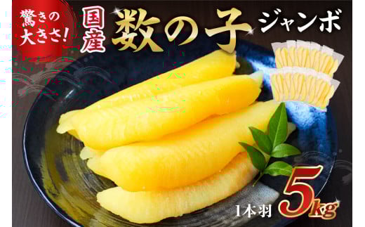 【先行受付：12月発送】国産　塩数の子ジャンボ(北海道産）　1本羽　5kg　小分け（500g×10袋） mi0012-0072-12 【数の子 ニシン ジャンボサイズ 海産物 魚卵 レシピ同封 お正月 おせち料理】