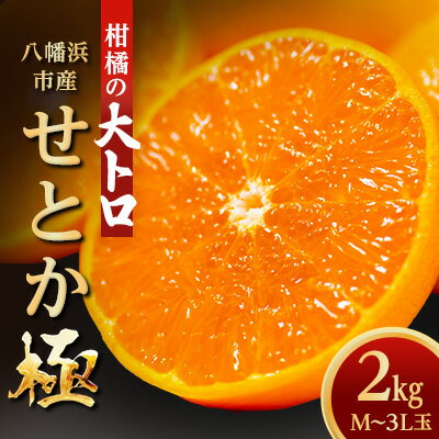 【ふるさと納税】「夕やけブランド」柑橘の大トロ!【せとか】2kg【C49-66】_ せとか みかん 愛媛 柑橘 ミカン セトカ 蜜柑 愛媛県 2kg 甘い おいしい 愛媛みかん 果物 くだもの フルーツ デザート 果実 青果 国産 産地直送 送料無料 【1509769】