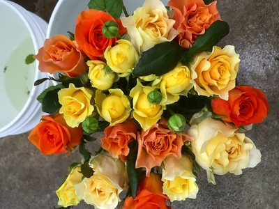 Flower Bouquet（バラのブーケ）25本　オレンジ系　花束 お祝い プレゼント 誕生日 ギフト 贈答 記念日 AN-0004-06