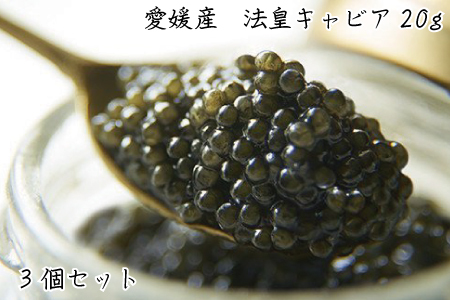 法皇キャビア（20ｇ）桐箱入り　3個セット