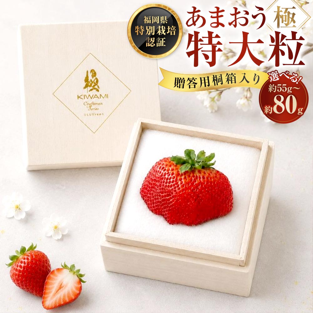 【ふるさと納税】＜選べる内容量＞あまおう「極」特大粒 1粒 約55g～79g / 約80g あまおう いちご イチゴ 苺 フルーツ くだもの 果物 果実 デザート 大粒 桐箱 ギフト 贈答 贈り物 冷蔵 福岡県産 国産 福岡県 太宰府市 送料無料 【2026年11月下旬～2027年4月上旬発送予定】