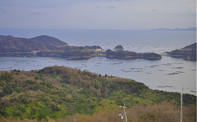 牡蠣 冷凍 蒸し牡蠣 大粒 500g MSC認証 マルト水産 岡山県邑久町虫明産