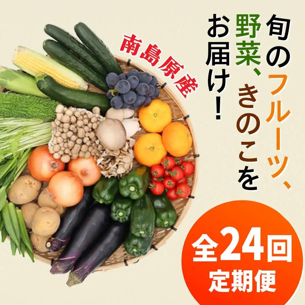 【全24回 月2回お届け】野菜定期便15品目以上 [SCZ003]