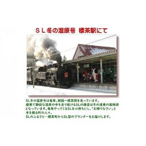 【ガーデニング】ＳＬプランター　280型　|  プランター