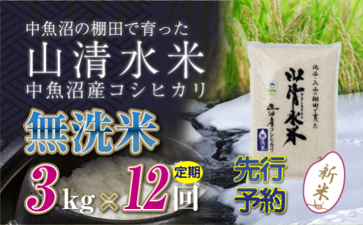 【令和8年産 先行予約】【定期便／全12回】無洗米3kg 新潟県魚沼産コシヒカリ「山清水米」