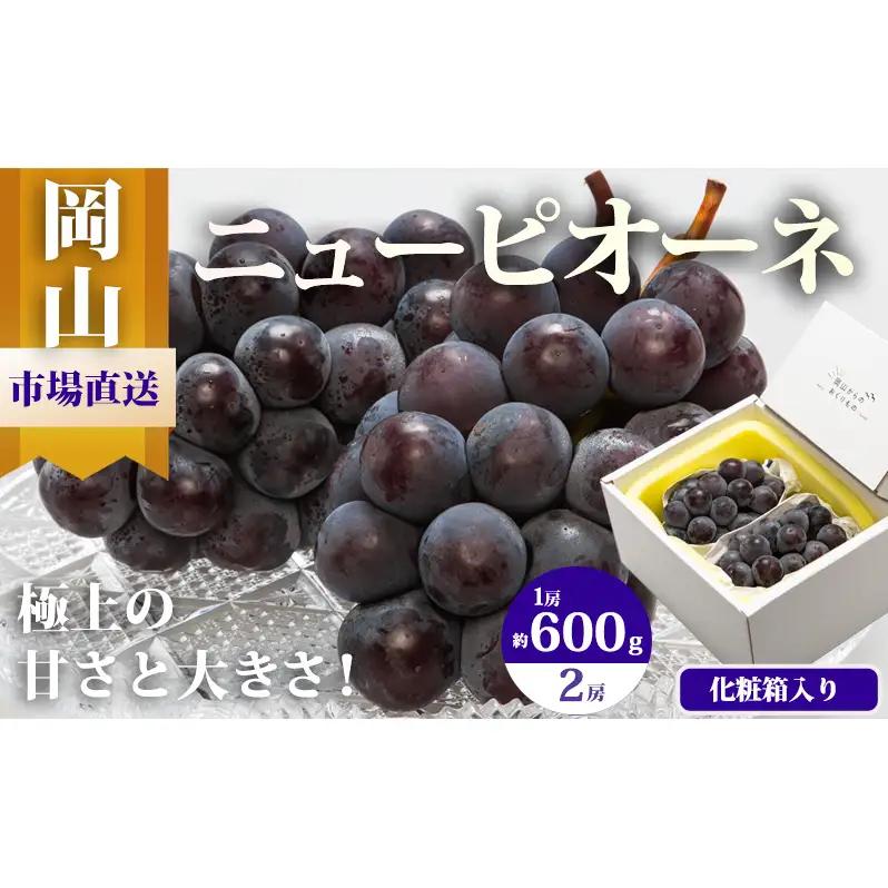 ぶどう 2026年 先行予約 ニュー ピオーネ 2房（1房600g以上）化粧箱入り ブドウ 葡萄 岡山県産 国産 フルーツ 果物 ギフト 