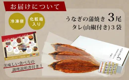 三河産うなぎ 蒲焼《超特大》3尾（合計580～600g）・A091-22-1