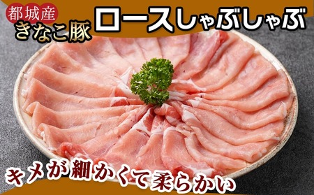 【年内お届け】鍋★きなこ豚しゃぶしゃぶ用食べ比べセット(バラ・ロース・肩ロース・たれ付き)≪2025年12月15日～31日お届け≫_MJ-1212-HNY_(都城市) ブランド豚 きなこ豚 肩ロース 
