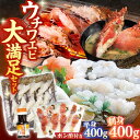 【ふるさと納税】【旨味と甘みを心ゆくまで】ウチワエビ しゃぶしゃぶ B（刺身・半身セット） 平戸市 / ひばり [KAA060] エビ 海老 うちわえび 新鮮 鍋 刺身 小分け 海鮮