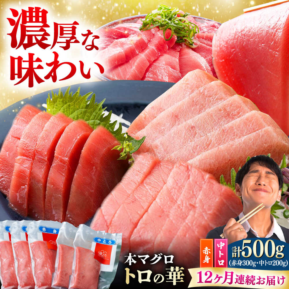 【ふるさと納税】【全12回定期便】対馬産 本マグロ 500g（赤身300g、中トロ200g） ≪対馬市≫【桐谷商店】 トロの華 対馬 新鮮 マグロ トロ 鮪 刺身 鮮度抜群[WAQ046]