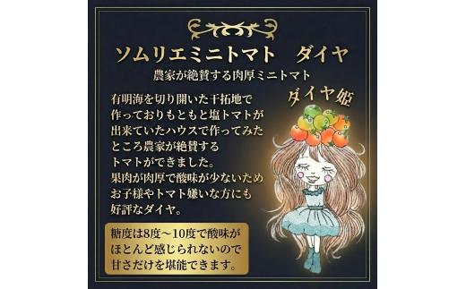 【特別栽培農産物】ソムリエミニトマト・ダイヤ 4kg | 野菜 やさい トマト とまと 銀賞 熊本県 玉名市