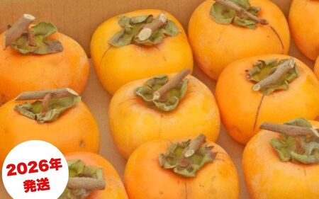 柿 ＼甘さが違う！とっても甘くなる／吊るし柿用 たね無渋柿 T軸又はクリップ付紐付 約2.5～3kg (約9～18玉)【2026年10月中旬～11月上旬ごろ順次発送】【G-art040A】