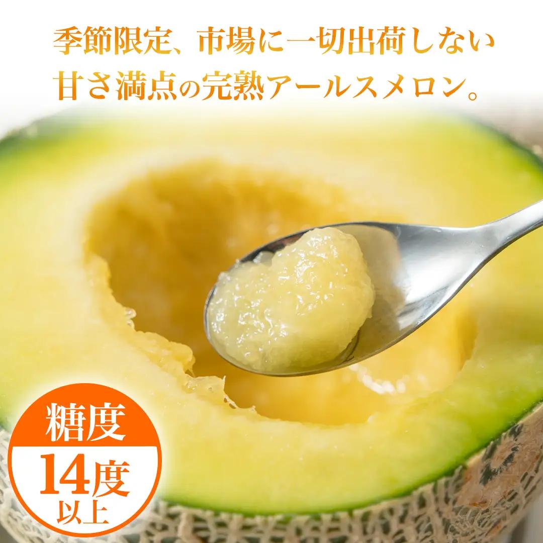 訳あり アールスメロン 2玉 果物 フルーツ 青肉メロン マスクメロン メロン くだもの 訳アリ [BC098sa]